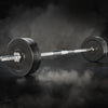 28KG Barbell Weight Set Plates Bar Bench Press Fitness Exercise Home Gym 168cm Deals499