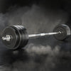 78KG Barbell Weight Set Plates Bar Bench Press Fitness Exercise Home Gym 168cm Deals499