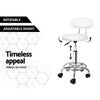 Artiss Salon Stool Swivel Barber Chair Backrest Hairdressing Hydraulic Height Deals499