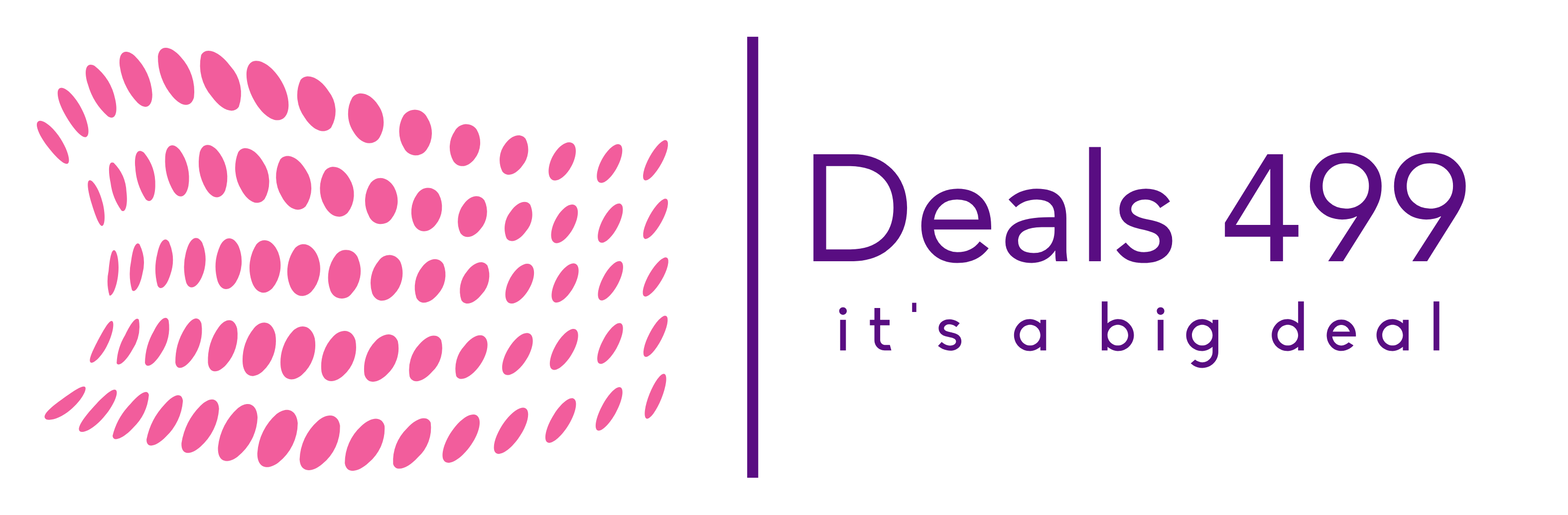 Deals499 logo