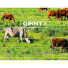 Giantz 2000M Polywire Roll Electric Fence Energiser Stainless Steel Poly Wire Deals499