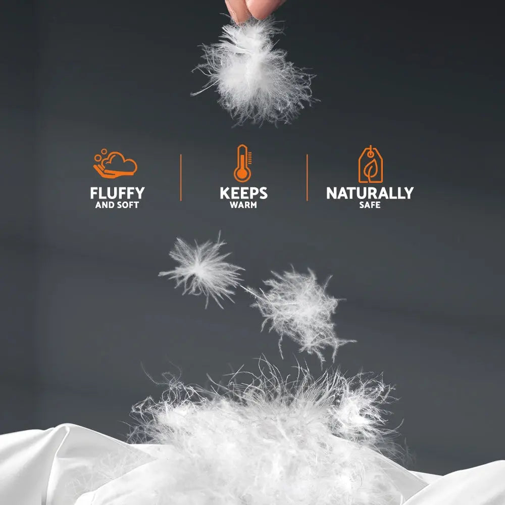 Giselle Bedding Queen Size 800GSM Goose Down Feather Quilt from Deals499 at Deals499
