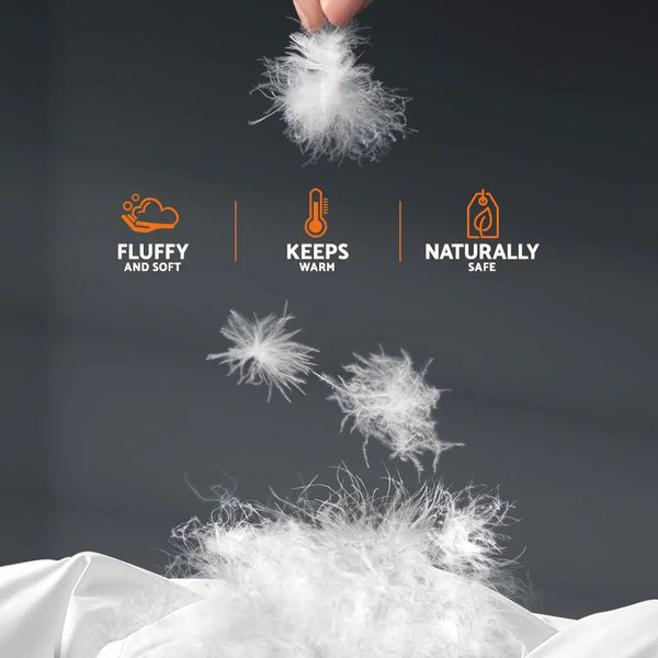 Giselle Bedding Queen Size 800GSM Goose Down Feather Quilt from Deals499 at Deals499