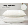 Giselle Bedding Set of 2 Visco Elastic Memory Foam Pillows Giselle