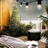Jingle Jollys 77m LED Festoon String Lights Outdoor Decor Wedding Party Home Deals499