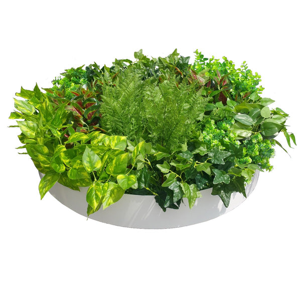 Artificial Green Wall Disc Art 80cm Mixed Fern (Fresh White) Deals499