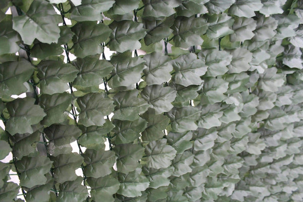 Double Sided Ivy Rolls 3m x 1m Deals499