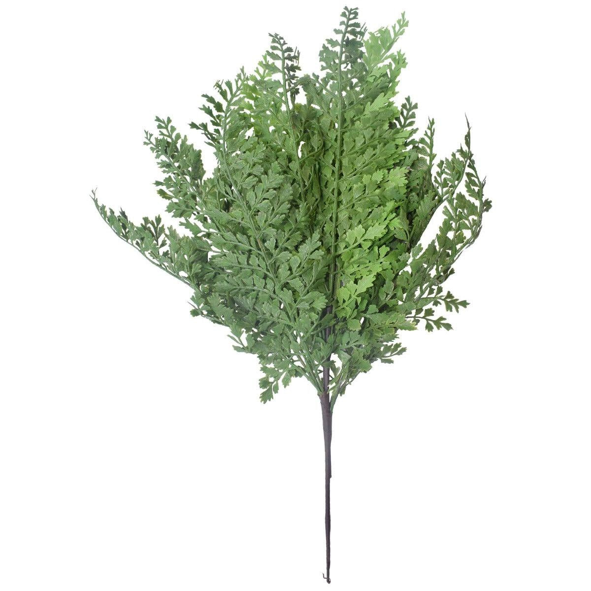 Faux Maden Hair Fern Stem 40cm Deals499