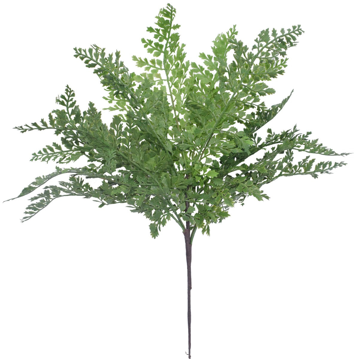 Faux Maden Hair Fern Stem 40cm Deals499