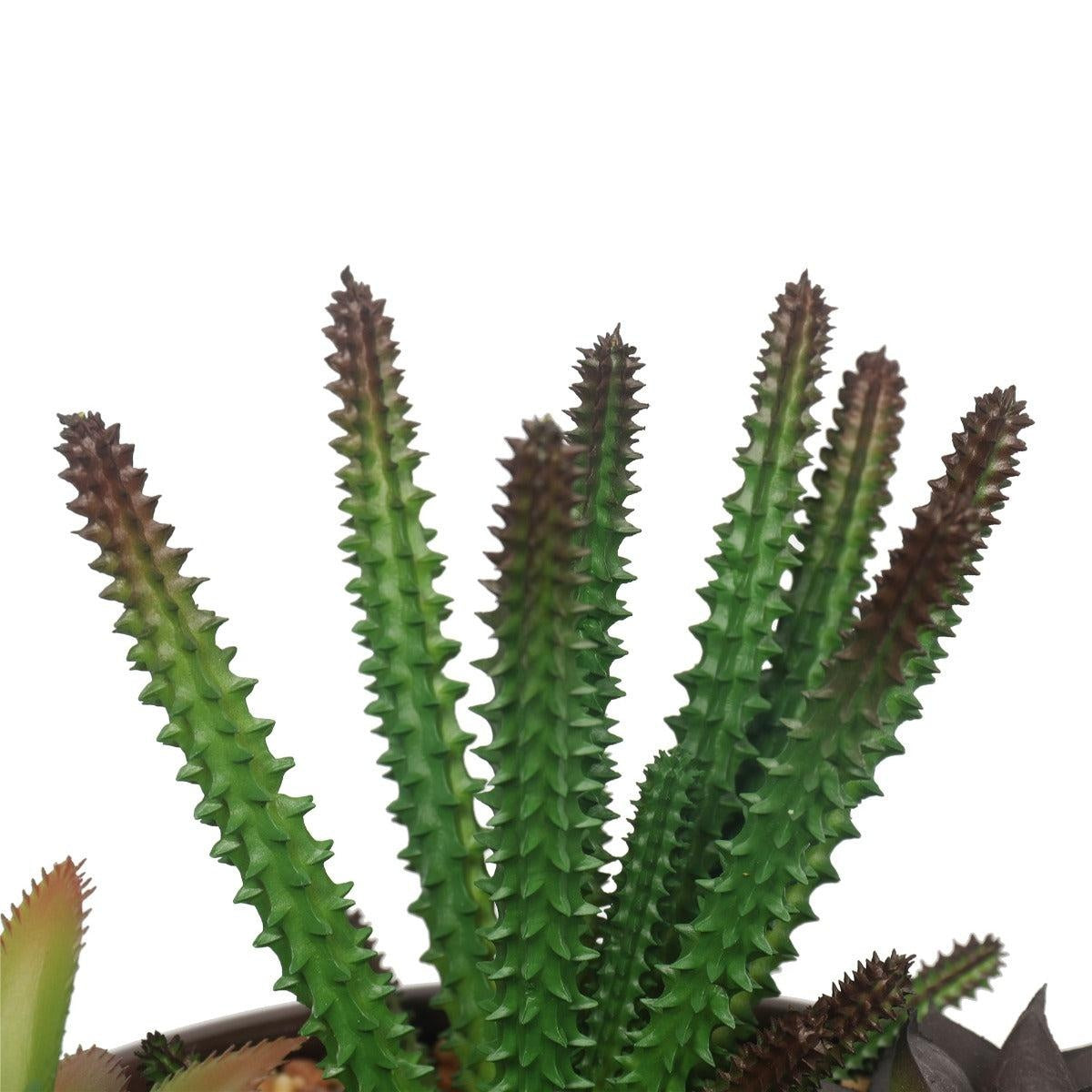 Potted Artificial Succulents with Round Decorative Bowl 19cm Deals499