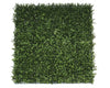 Premium Natural Buxus Hedge Panels UV Resistant 1m x 1m Deals499