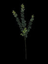 5 Pack - Long Eucalyptus Stem 77 cm Deals499