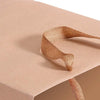 50x Brown Paper Bag Kraft Eco Recyclable Gift Carry Shopping Retail Bags Handles Deals499
