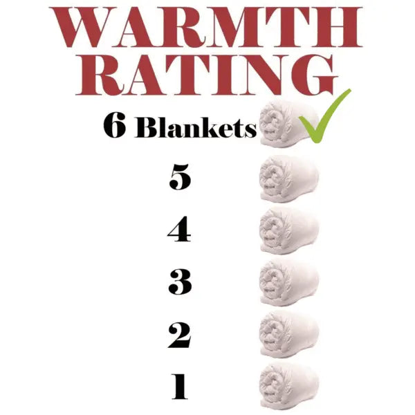 Ariel Miracle 95percent Goose Down 5percent Goose Feather Quilt Queen Deals499