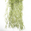 Artificial Air Plant Spanish Moss - Old Man Beard 60cm Deals499