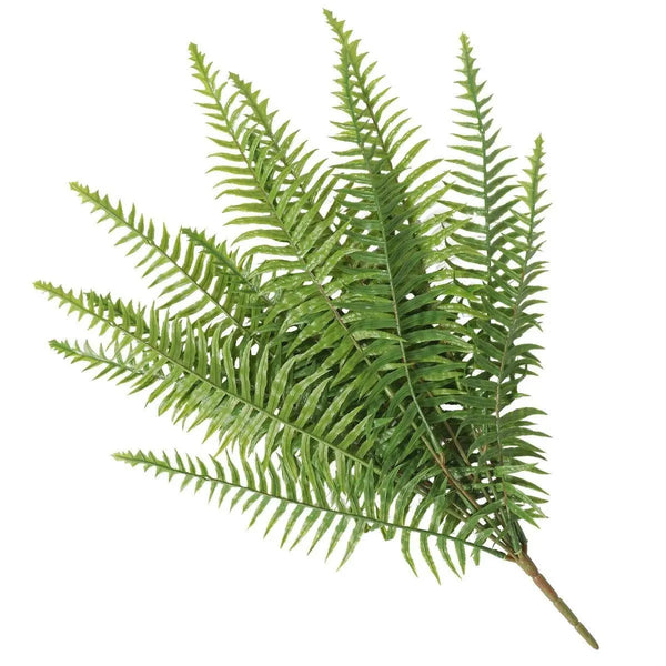 Artificial Fern (Lady Fern) 50cm UV Resistant Deals499