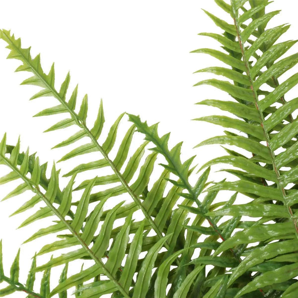 Artificial Fern (Lady Fern) 50cm UV Resistant Deals499