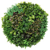 Artificial Green Wall Disc Art 150cm Dense Green Sensation (Fresh White) Deals499