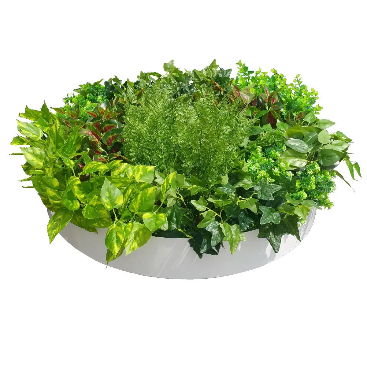 Artificial Green Wall Disc Art 80cm Mixed Fern (Fresh White) Deals499