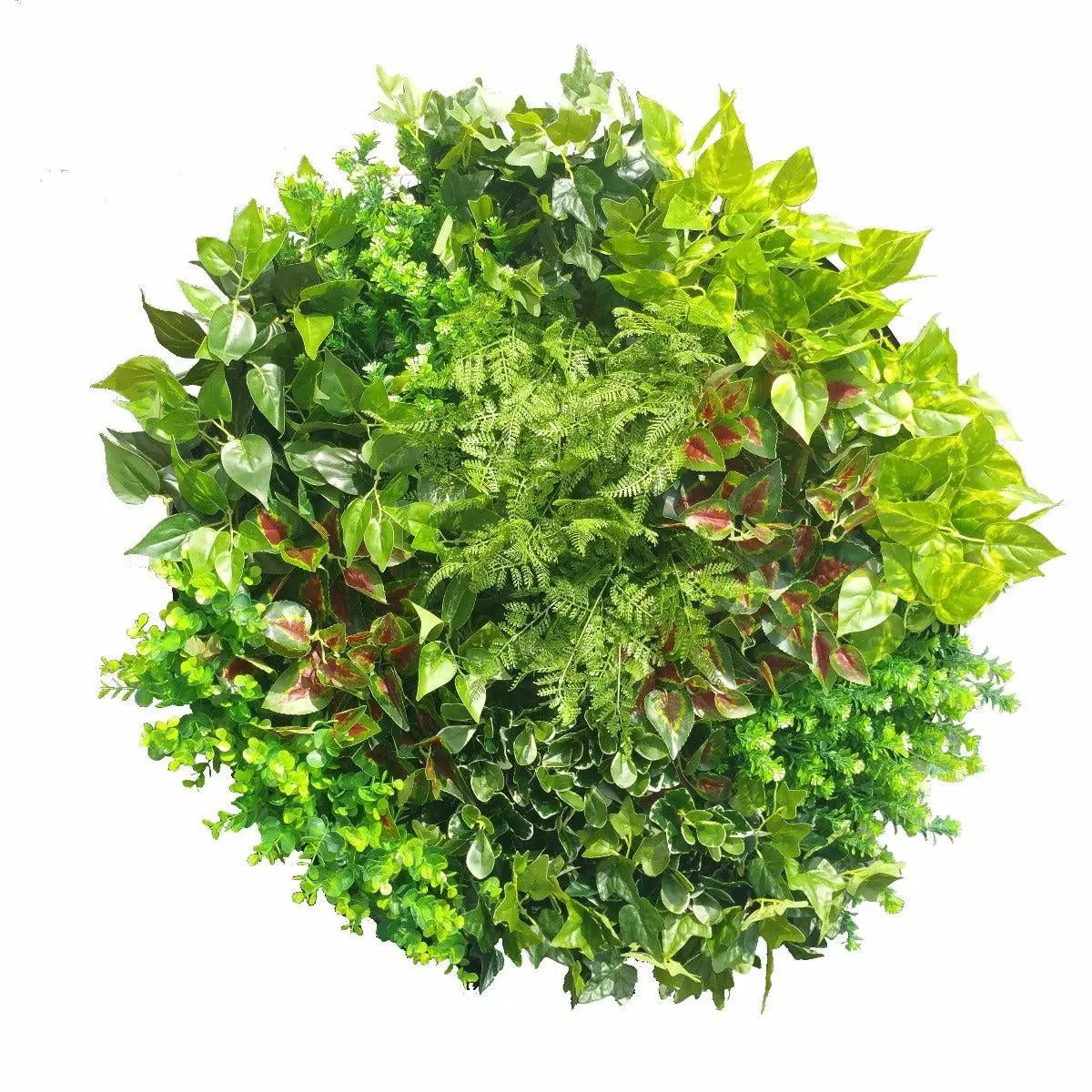 Artificial Green Wall Disk Art 80cm - Mixed Fern Deals499