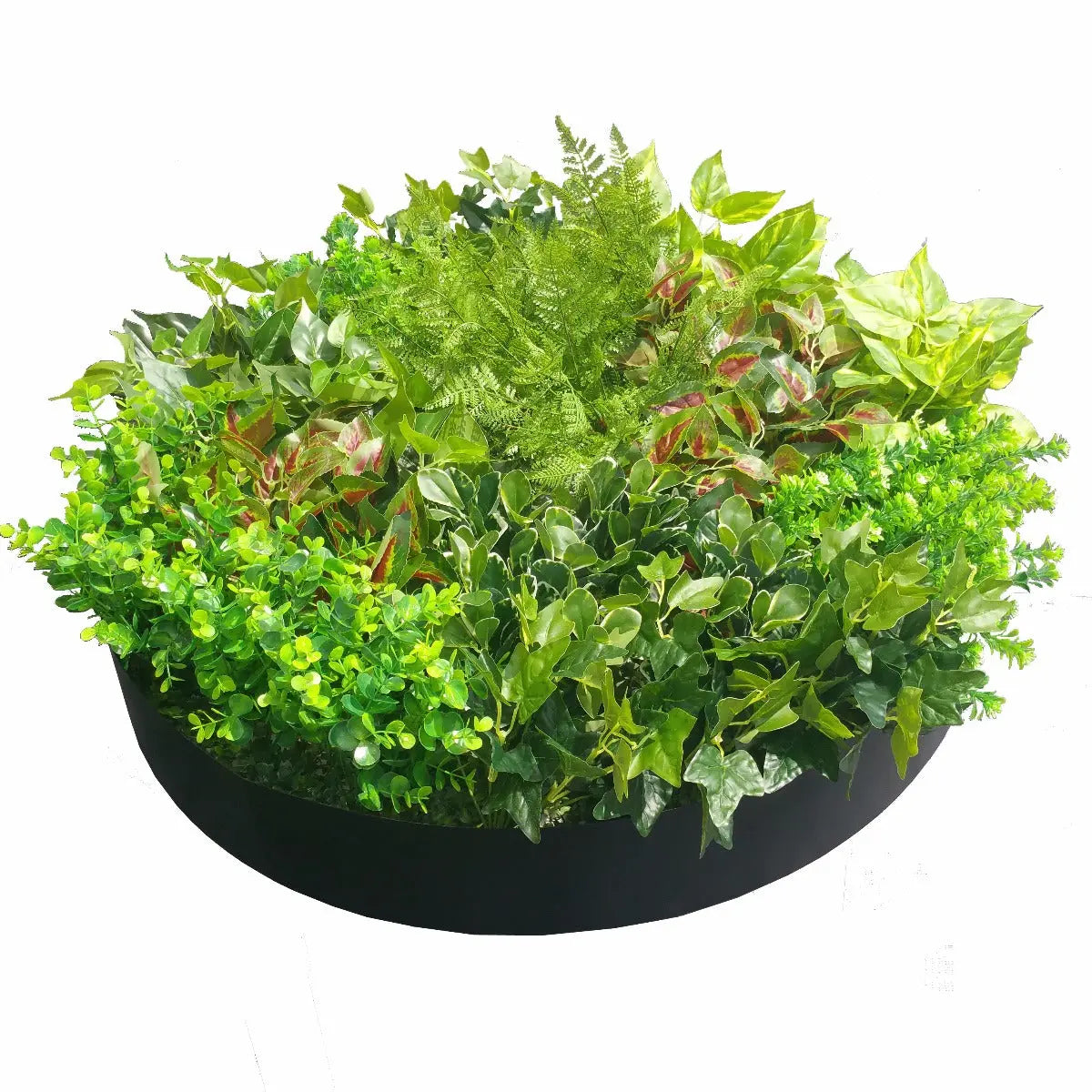 Artificial Green Wall Disk Art 80cm - Mixed Fern Deals499