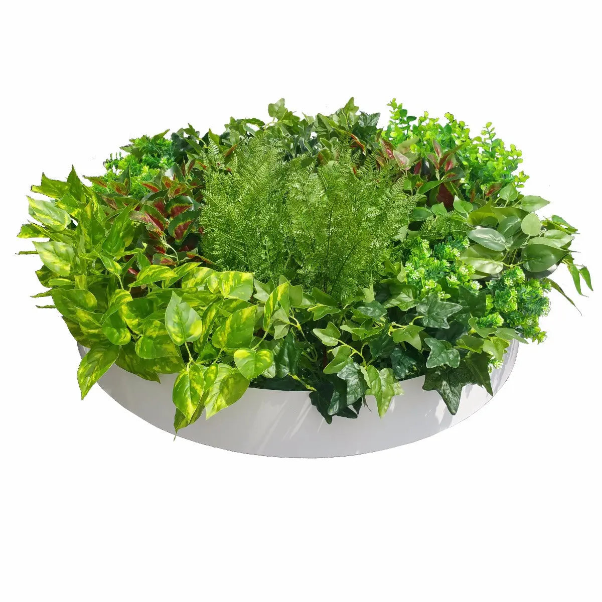 Artificial Green Wall Disk Art 80cm - Mixed Fern Deals499