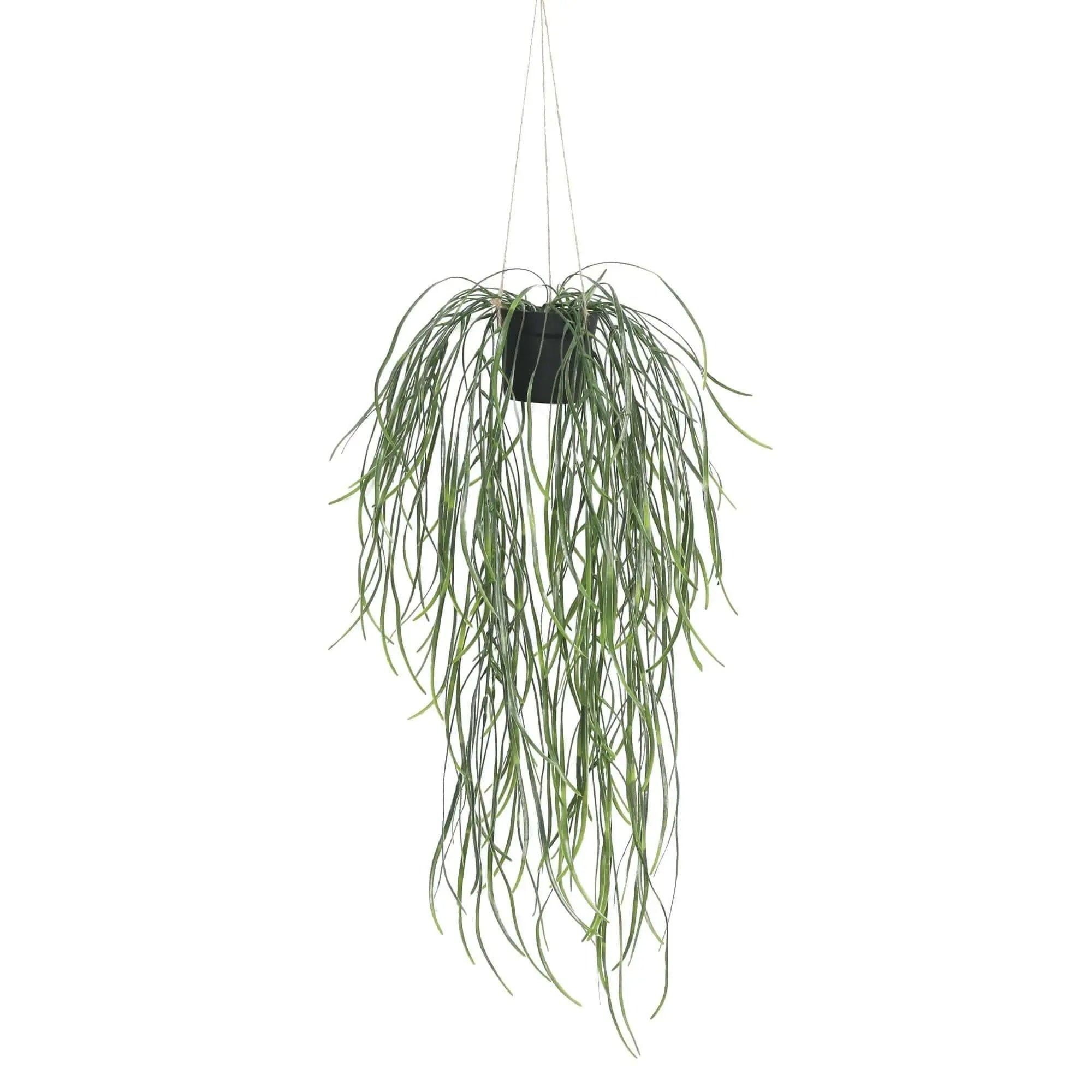 Artificial Hanging Potted Plant (Willow Leaf) 66cm UV Resistant Deals499