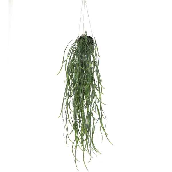 Artificial Hanging Potted Plant (Willow Leaf) 66cm UV Resistant Deals499