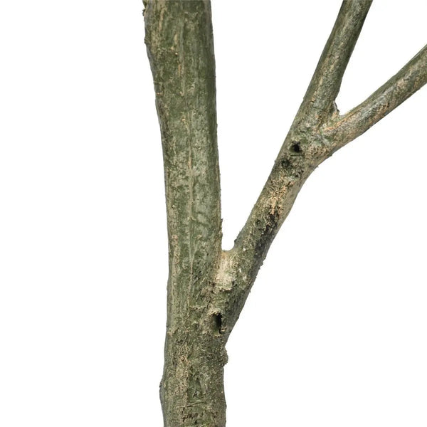 Artificial Lemon Tree (Potted) with Lemons 150cm Deals499