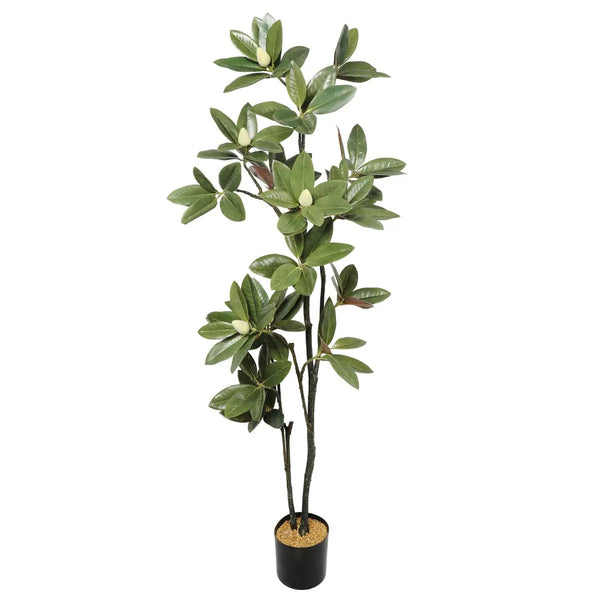 Artificial Magnolia Tree 180cm Deals499
