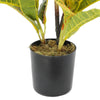 Artificial Potted Flaming Zebra (Codiaeum variegatum / crotons) 55cm Deals499