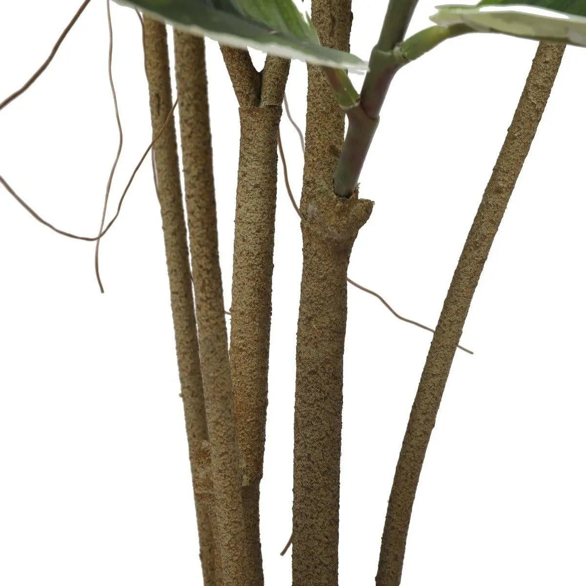 Artificial Potted Oak Tree 180cm Deals499