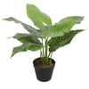 Artificial Potted Taro Plant / Elephant Ear 55cm Deals499