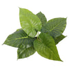 Artificial Potted Taro Plant / Elephant Ear 55cm Deals499