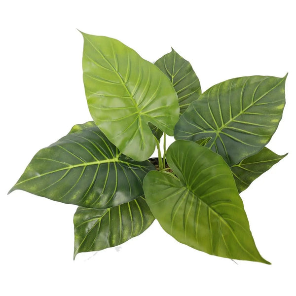 Artificial Potted Taro Plant / Elephant Ear 55cm Deals499