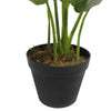 Artificial Potted Taro Plant / Elephant Ear 55cm Deals499