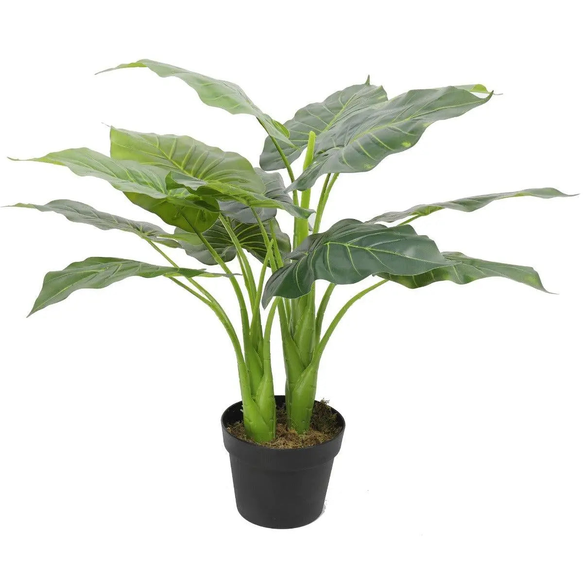 Artificial Potted Taro Plant / Elephant Ear 70cm Deals499