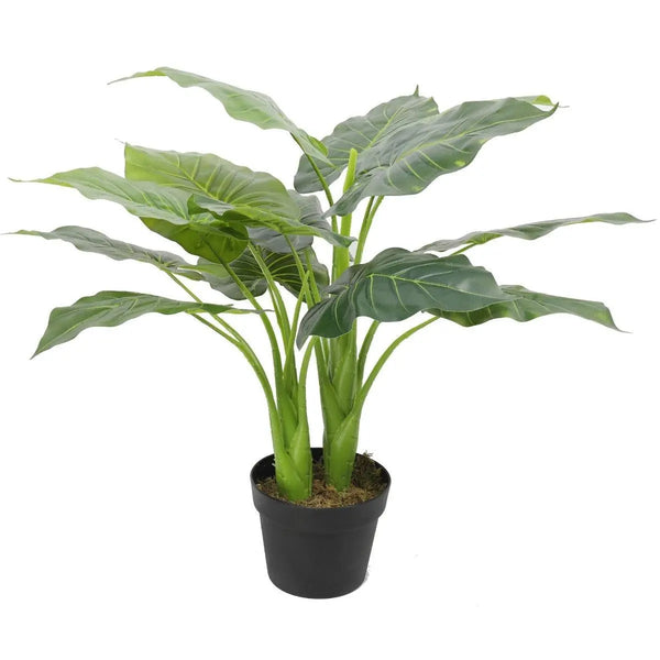 Artificial Potted Taro Plant / Elephant Ear 70cm Deals499