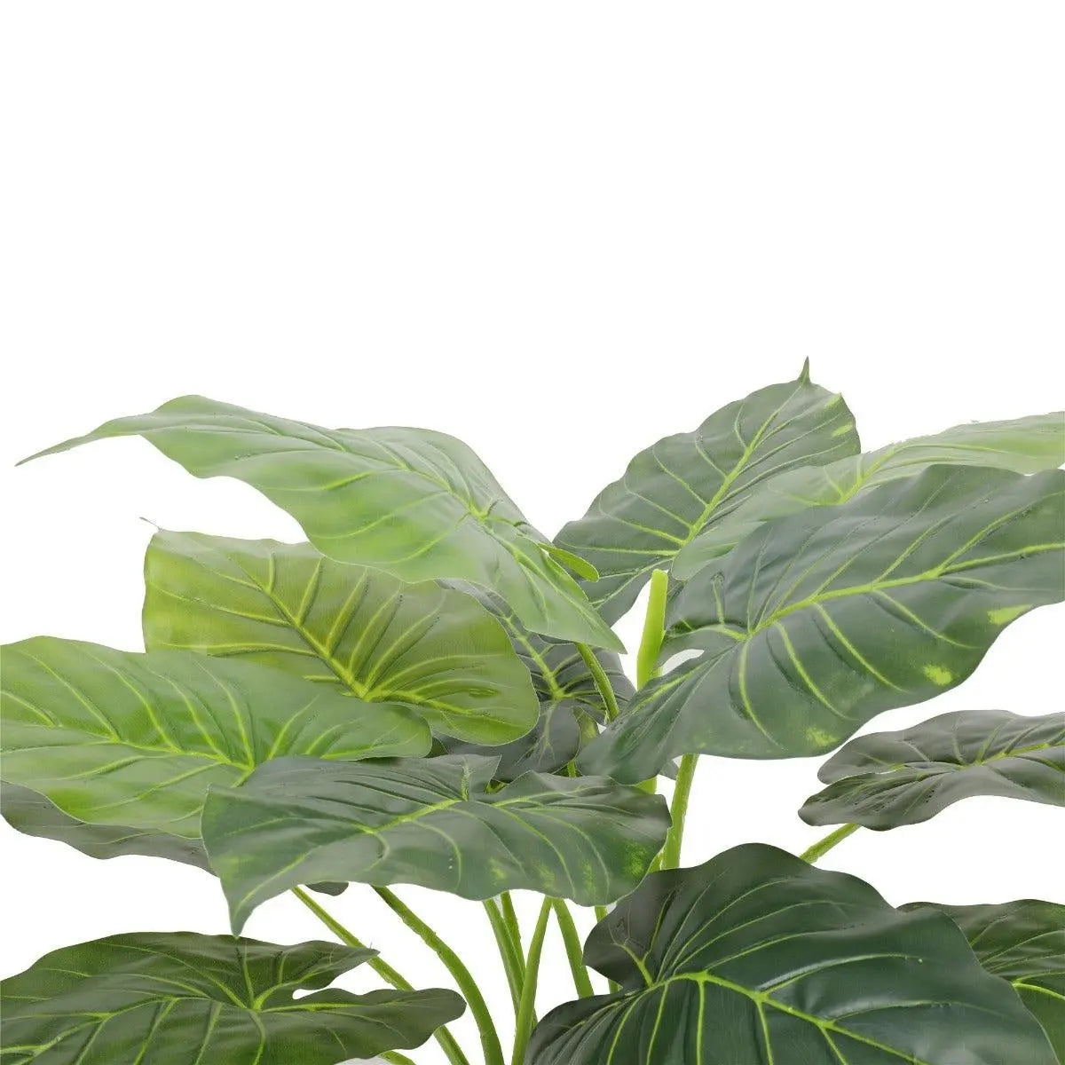 Artificial Potted Taro Plant / Elephant Ear 70cm Deals499