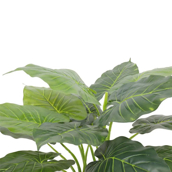 Artificial Potted Taro Plant / Elephant Ear 70cm Deals499