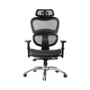 Artiss Mesh Office Chair High Back Executive Computer Chairs Black Deals499
