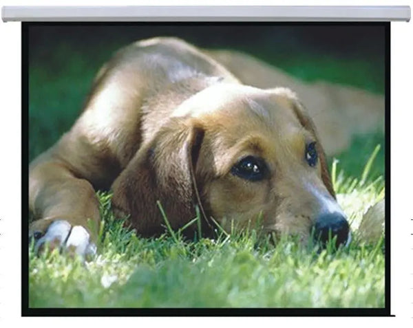 BRATECK Auto-lock Manual Projection Screen-72’’(1.45X1.10M) /(4:3 Ratio) BRATECK