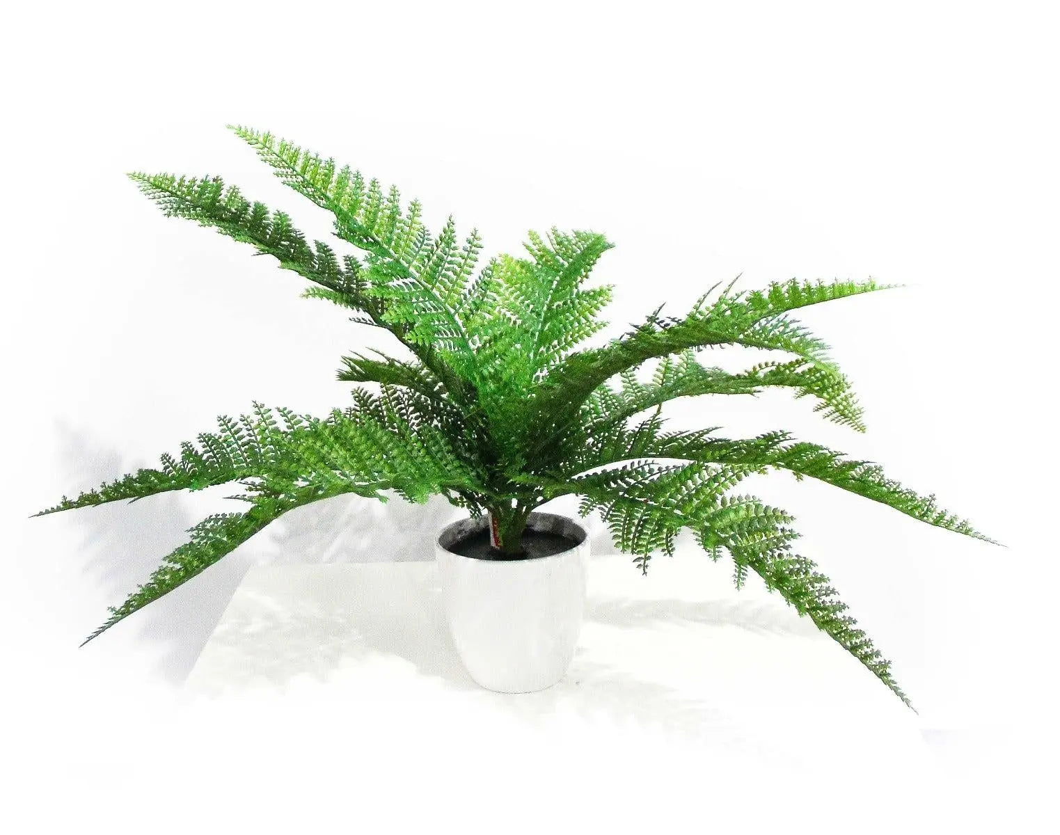 Dense Fern Stem 45cm Deals499