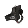 Dog Adjustable Harness Support Pet Training Control Safety Hand Strap Size M Deals499
