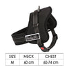 Dog Adjustable Harness Support Pet Training Control Safety Hand Strap Size M Deals499