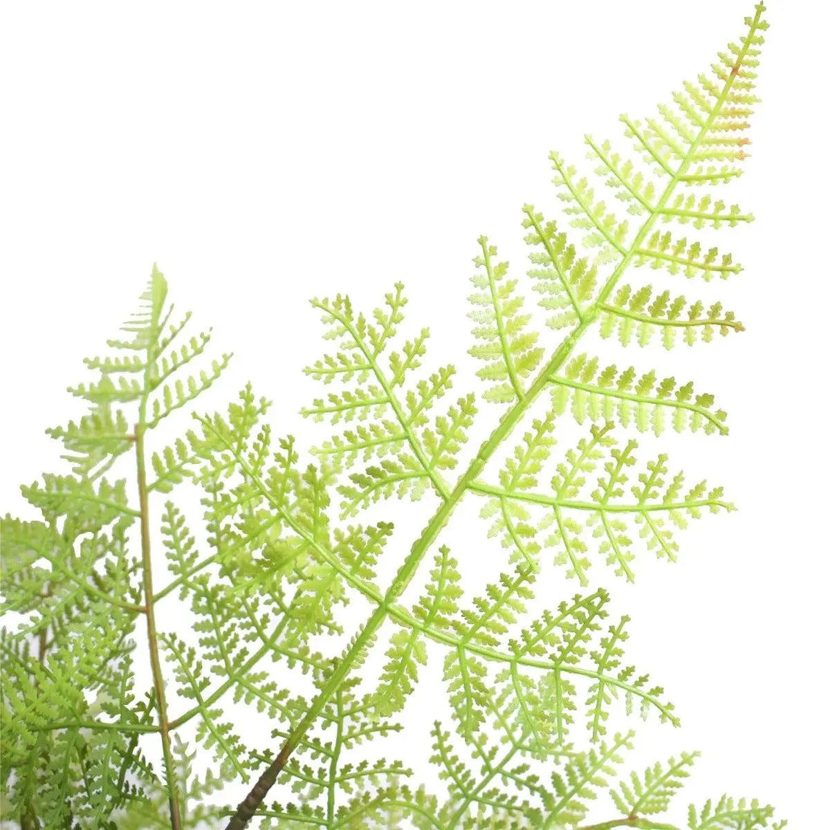 Faux Natural Fern Tree 90cm Deals499
