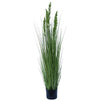 Flowering Native Grass 120 cm Deals499
