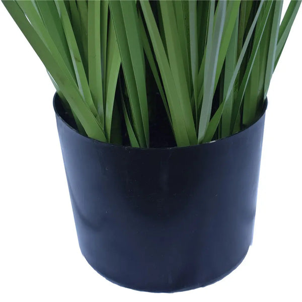 Flowering Native Grass 120 cm Deals499
