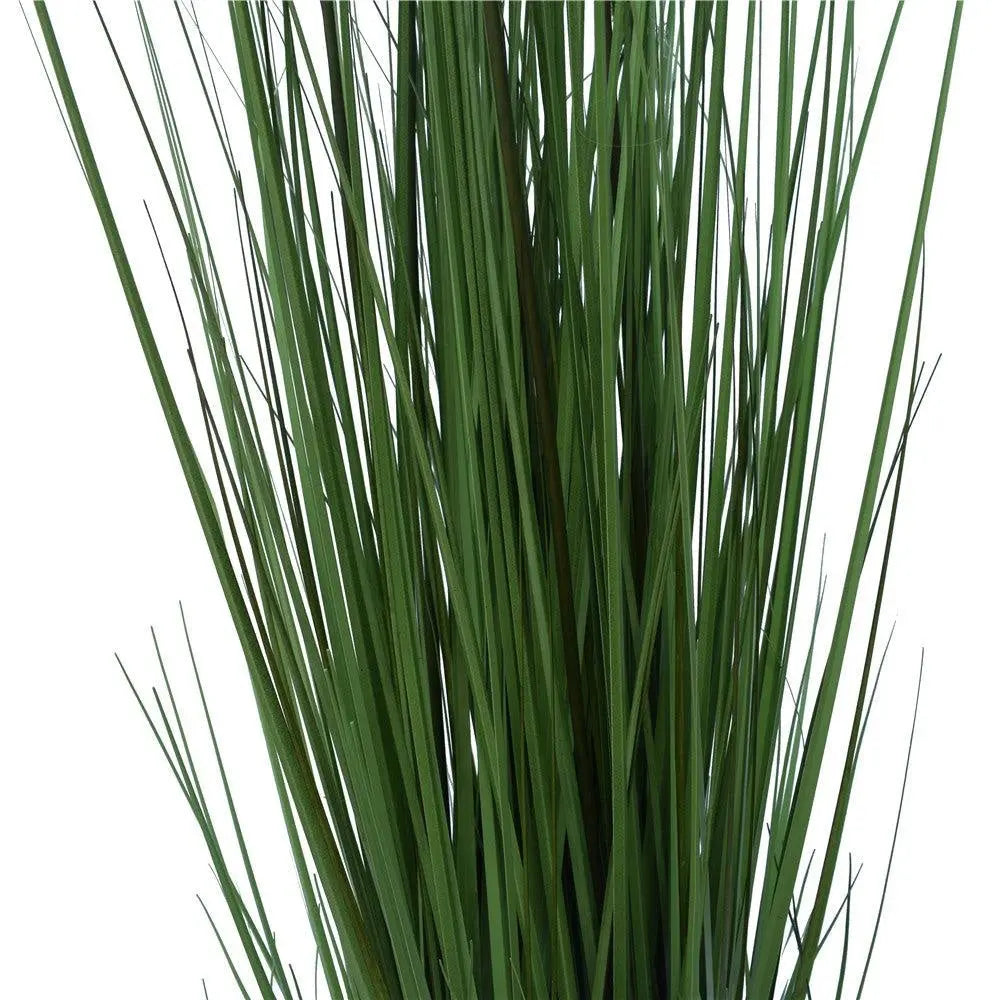 Flowering Native Grass 120 cm Deals499