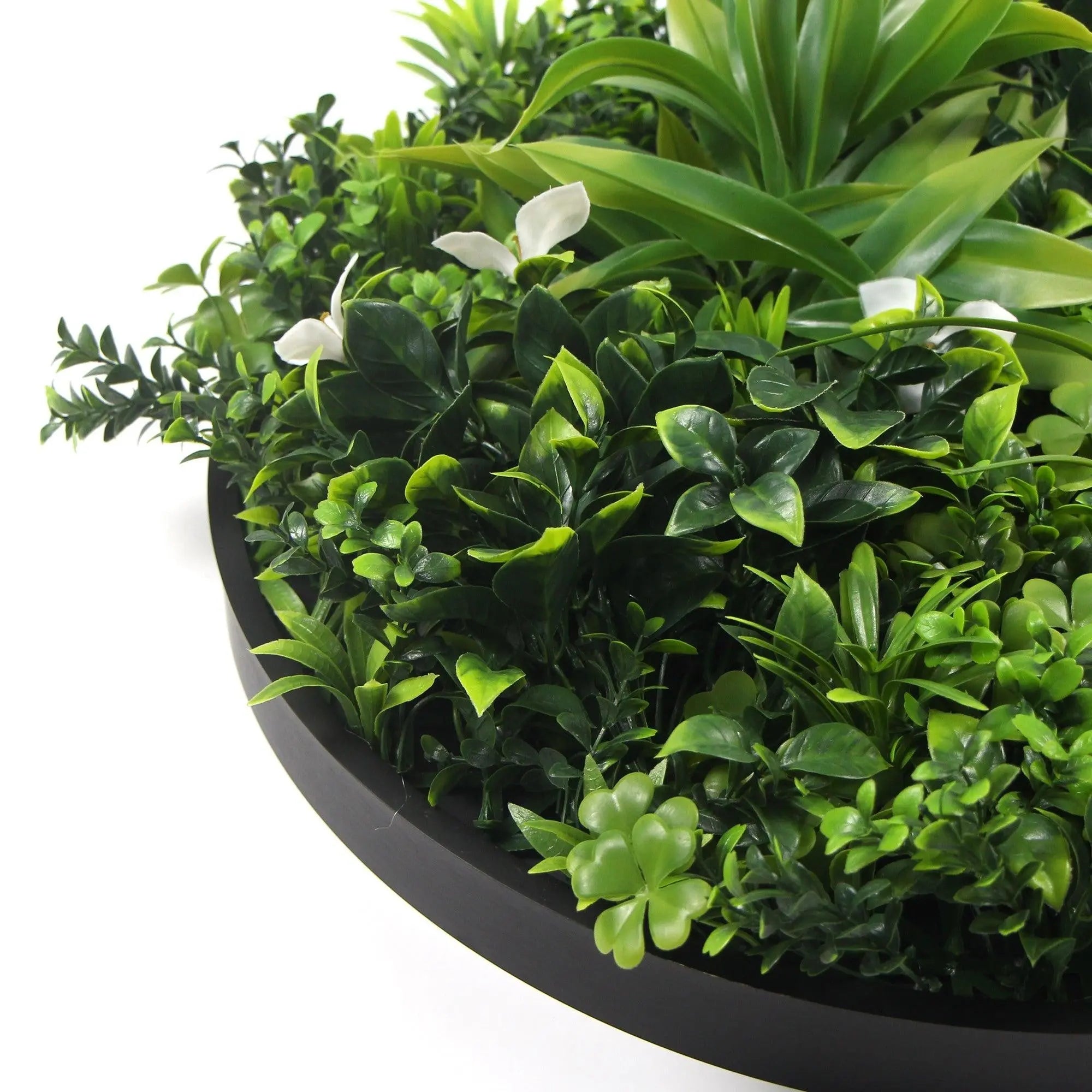 Flowering White Artificial Green Wall Disc UV Resistant 100cm (Black Frame) Deals499